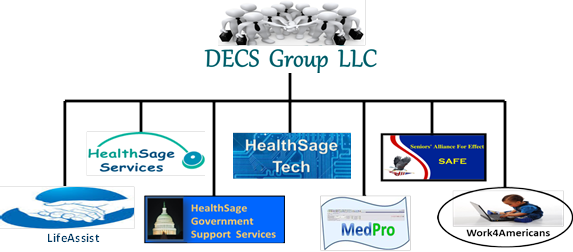 DECS Business Structure
